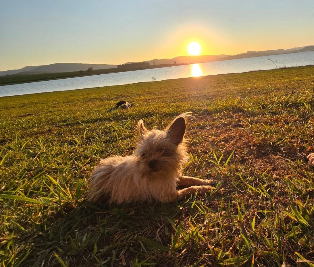 Pôr do sol visto do gramado do sítio